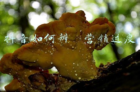 抖音如何辨別营销过度
