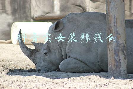 卖女装赚钱吗(深圳美女开服装店，利用人性弱点，一年盈利133万)