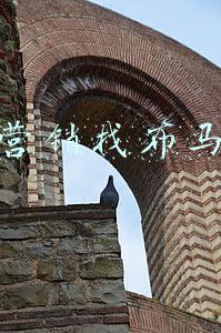 抖音营销诚选布马网络(短视频营销的关键：数据赋能+多元化玩法)