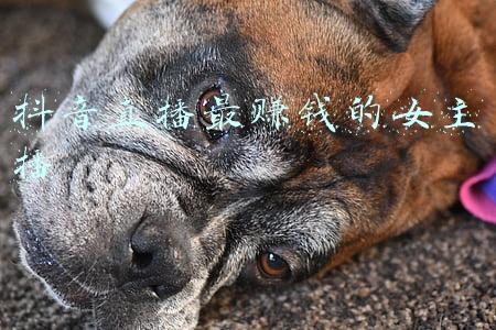 抖音直播最赚钱的女主播
