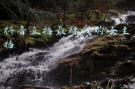 抖音直播最赚钱的女主播