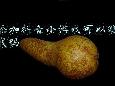 如何添加电脑小游戏(RetroAch模拟器的使用教程（二）：添加游戏和游戏列表)