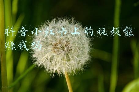 小红书上发视频赚钱(聊点实际的，小红书怎样才能赚到钱？)