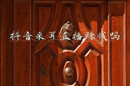采耳直播平台(语音平台荔枝力推的助眠内容挑逗，多名主播诱售色情音视频)