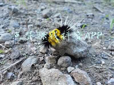 点赞赚钱app靠谱(点赞“某音”能赚钱？警方提示，警惕点赞赚佣金类诈骗)