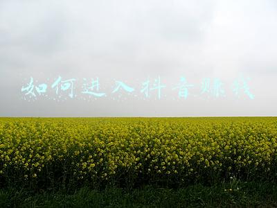 如何进入抖音后台(抖音视频同步头条号后台)