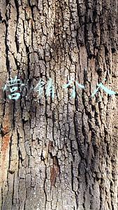 抖音营销个人资料