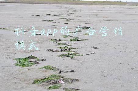 app营销的三种模式(软件企业运营模式及销售策略方案)