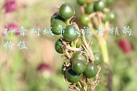 城市规划的价值观(访谈 | 潘灝源：博物馆设计应更紧密地与城市愿景和价值观联系起来)