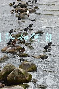 保险公司如何管理团队(在保险公司怎么样去管理一个团队)