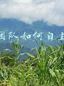 媒体自主经营 媒体经营模式