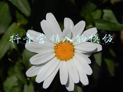 人物模仿(神韵还原得不错，低成本Coser模仿各种明星，惟妙惟肖)