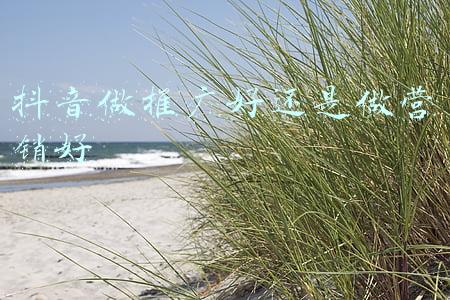 如何做营销推广(如何做好营销推广)