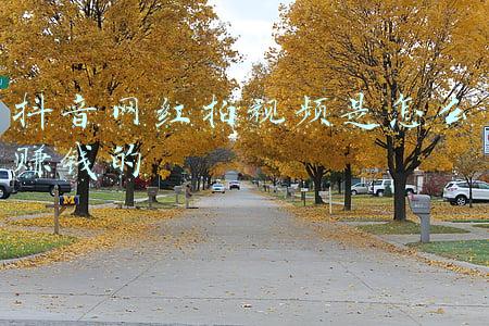 抖音网红拍视频是怎么赚钱的