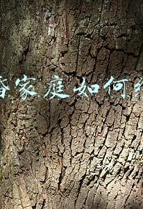二婚怎么经营婚姻-二婚更懂得怎样去经营婚姻