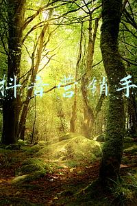 手机媒体营销(今日头条推出手机行业营销报告，揭秘四大爆款法则)