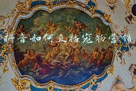 抖音如何直播电脑画面(「生活」终于可以用电脑刷抖音和微信朋友圈了！摸鱼党必看)
