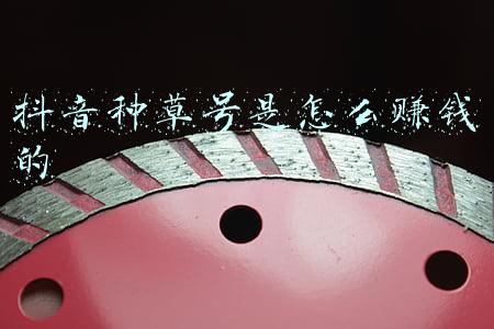 种草号怎么运营(运营人必备的5种视频号玩法)