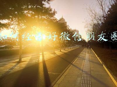 如何经营好微信朋友圈个人社交lP《如何经营好微信朋友圈个人社交lP》