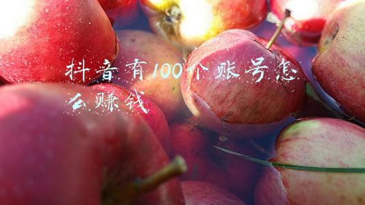 一个一百万的抖音号能赚多少钱(视频号捞金大战：服务商仨月赚100万，宝妈一条短视频收入4万)