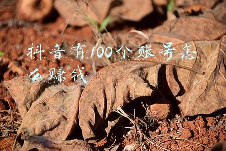 十万粉丝抖音号一个月能赚多少钱(抖音10万粉丝月收入)