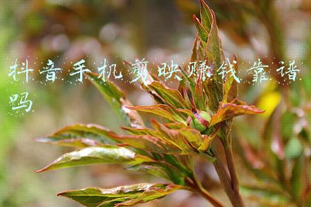 手机剪映文字转音频(老年人学剪映（046）语音变文字和文字变语音)