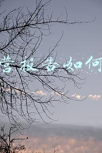 财务经营报告怎么写-公司财务经营情况怎么写