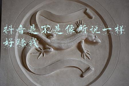 抖音是不是像所说一样好赚钱