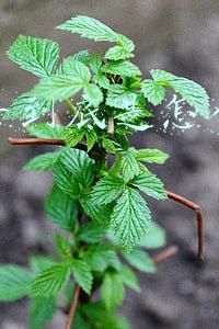 请问玩抖音怎么赚钱(你知道玩抖音可以赚钱的几种方式吗？)