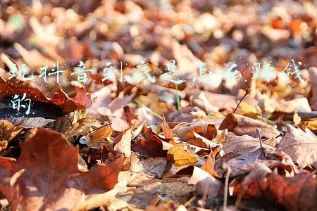 玩抖音到底是怎么赚钱的