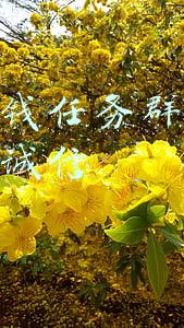 抖音赚钱任务群联系抖咖团队诚信