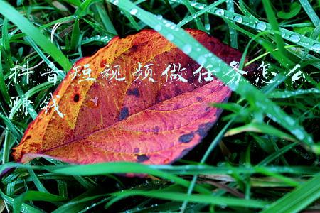 抖音短视频做任务怎么赚钱