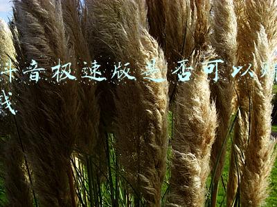 抖音极速版是骗人的吗(抖音极速版、虎牙直播、迅雷好用吗？实则欺骗用户，工信部通报)