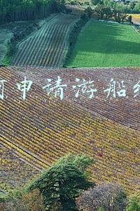 游艇运营需要什么手续(游艇运营需要什么手续及条件)