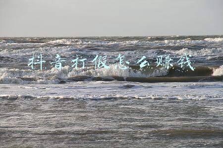 打假怎么赚钱(我是如何通过打假挣到自己第一个100万的)