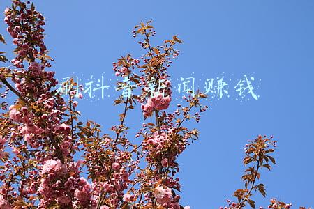 刷抖音新闻赚钱