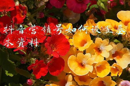 抖音营销号如何设置基本资料