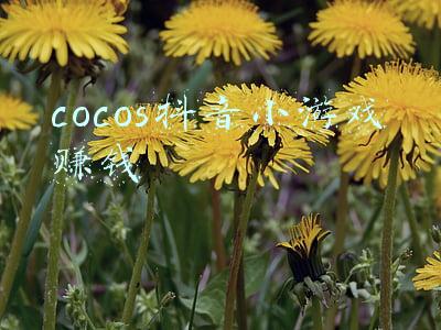 cocos小游戏源码(不止想做游戏，老牌引擎 Cocos 带着新的Flag出发了)