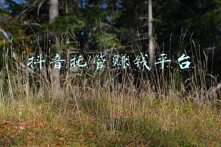 物业托管服务平台(腾讯、支付宝免押金租房后，这家中介不收租客押金免费帮租客搬家)