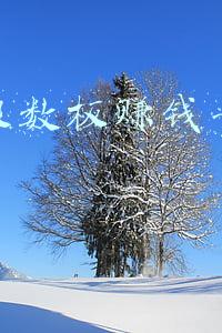 五线谱音符表(五线谱与简谱的音符时值对照表)
