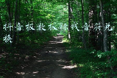 音符拍数(时值的基本符号)