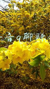 抖聊app赚钱(为了6元佣金，女子损失12万元！警惕“点赞赚佣金”的兼职诈骗)