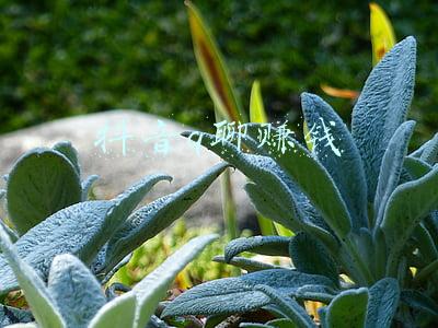 知聊怎么赚钱(涉嫌诈骗27万犯罪嫌疑人黎某已抓获！)