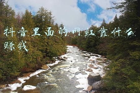 抖音里的网红能挣多少钱(收入动辄百万美元 这些Tiktok网红年薪比CEO们还高)