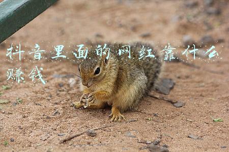 抖音网红为什么赚钱那么容易(做抖音5天赚了3000，却高兴不起来)