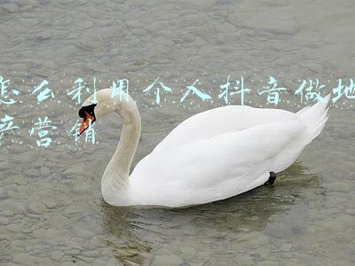 怎么利用个人抖音做地产营销