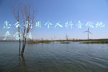 房地产个人独资企业(还因房地产经纪行业缺少成本而感到焦虑？别怕，个人独资企业来了)