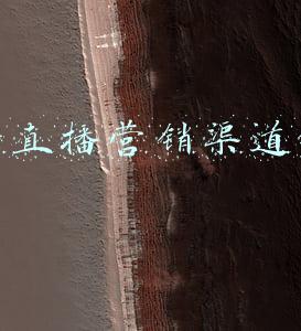抖音直播营销模式分析(介绍四种抖音直播间引流推广方式)
