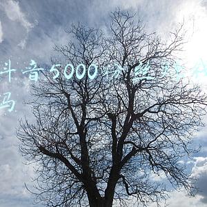抖音5000粉丝怎么赚钱(如何3分钟制作一个抖音情感视频，月入5000+)