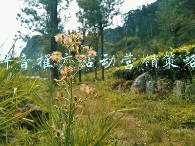 app推广营销策略(如何在海外推广App?推广方式有哪些？)